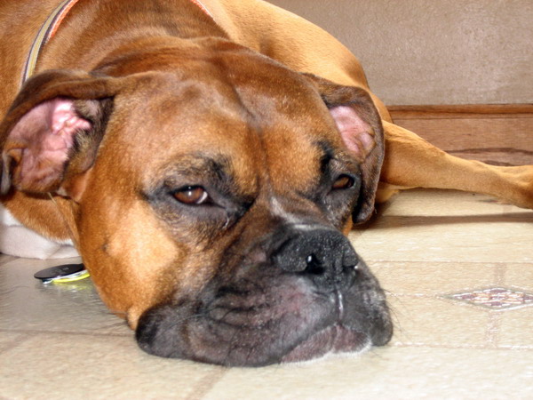 So tired