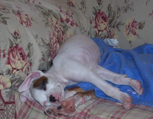 So Tired!