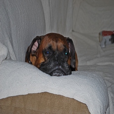 so tired