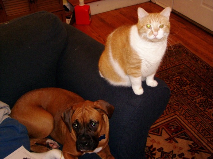 So we CAN get along...