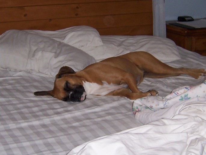 So,...where are you gonna sleep?