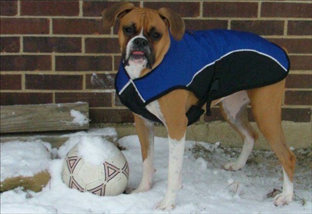 Soccer anyone?