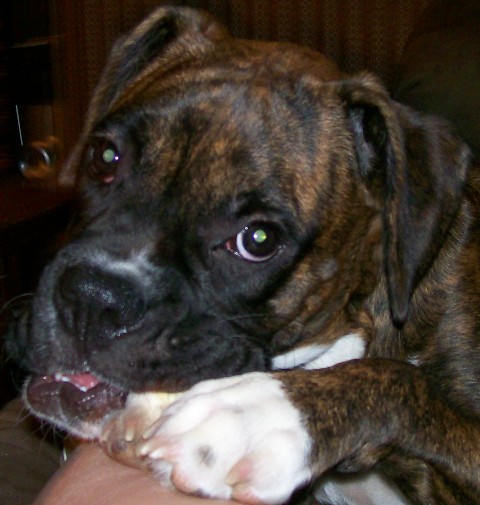 socute1