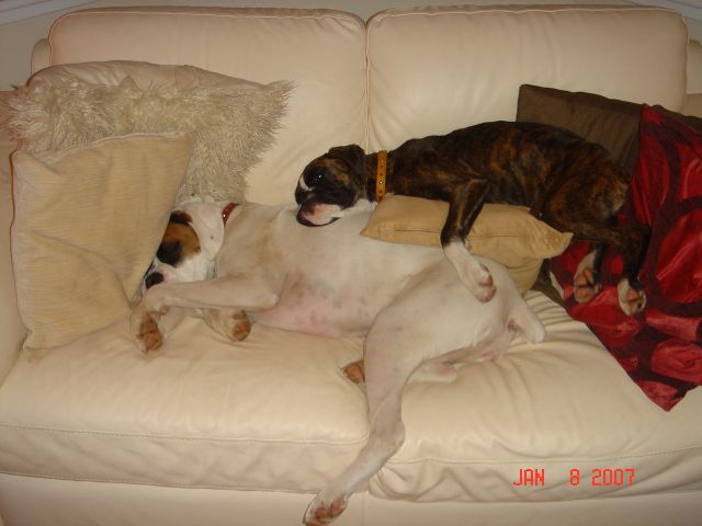 Sofa