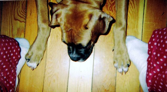 sofies_pics_015