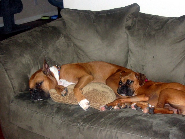 Soft pillow