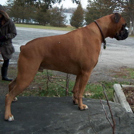 Solid boy