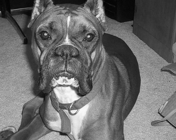 Some Say I Look Scary...No Way!