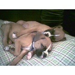 Some Sleepy Time!!!
