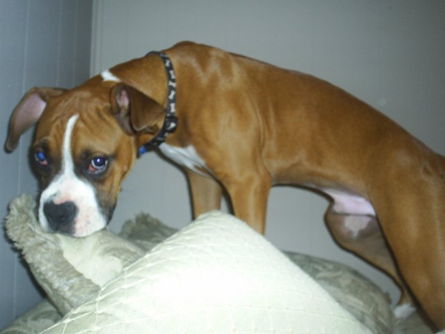Somebody looks guilty!!