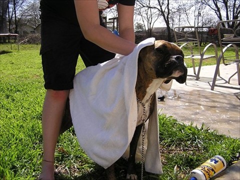 Sonia towel dry
