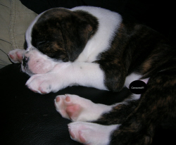 SOO CUTE!!