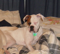 Soo Sleepy!
