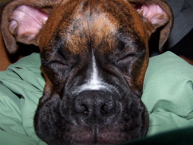 Soo tired....