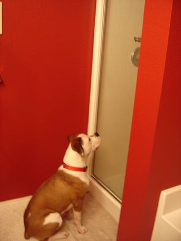 Soo...whatcha doin'?