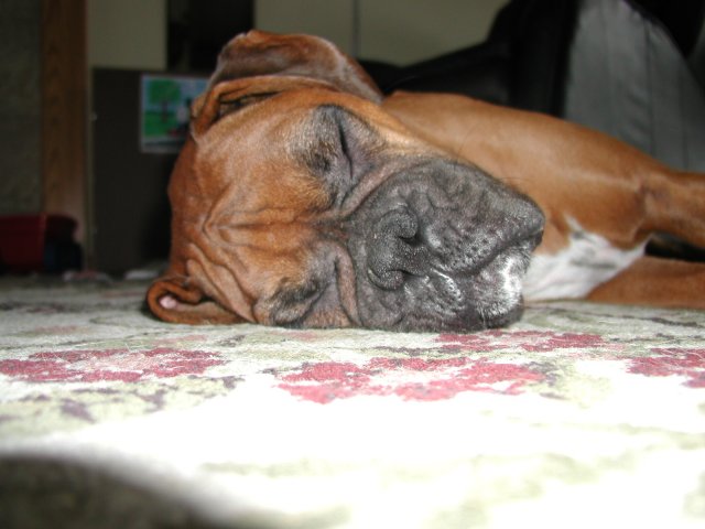 sooo sleepy