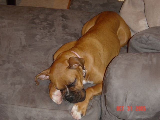Sooo Tired