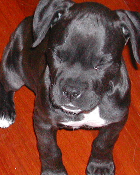 Sooo Tired!!!