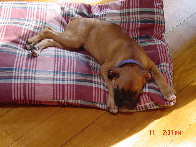 Sooo Tired
