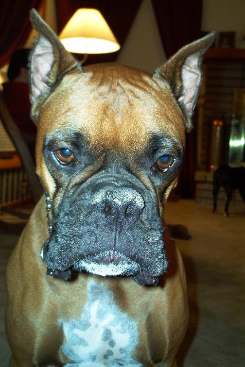 SOOOO serious