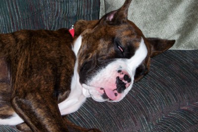 soooo tired.