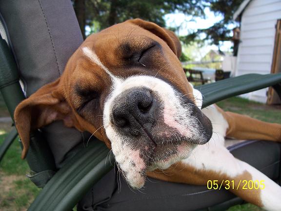 soooo tired!!!