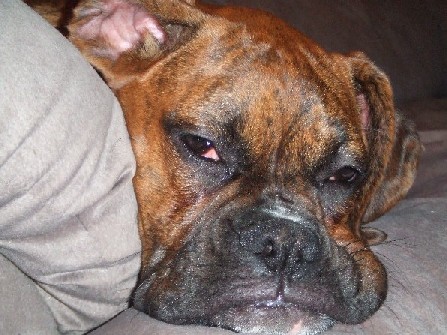 Soooo Tired!