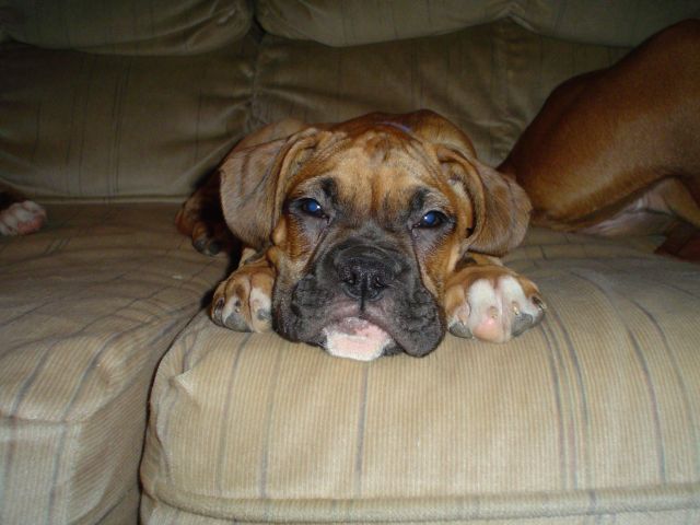 Soooooo Tired