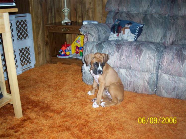 Sophia Anne at 11 weeks