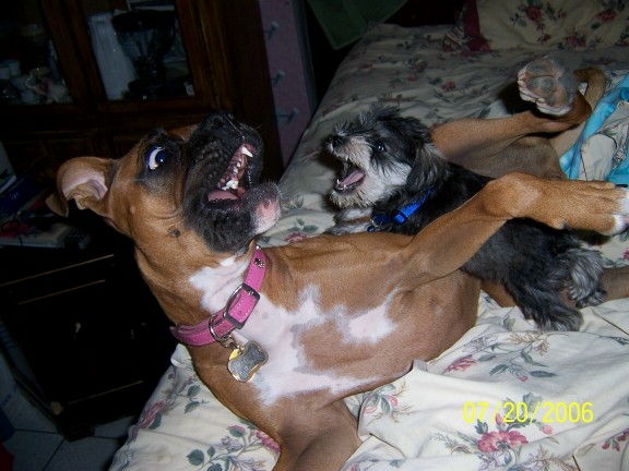 Sophie and Kobie