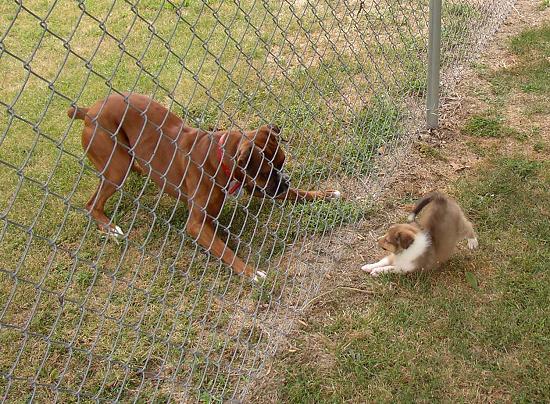 Sophie and Parker