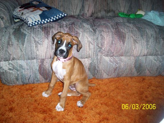 Sophie at 10 weeks