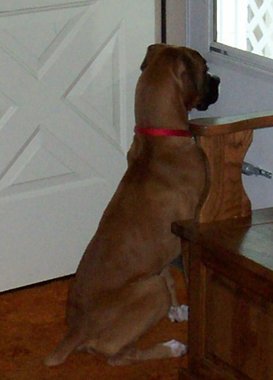 Sophie last week (6 mo's)