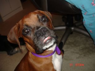 Sophie making one of her many faces...