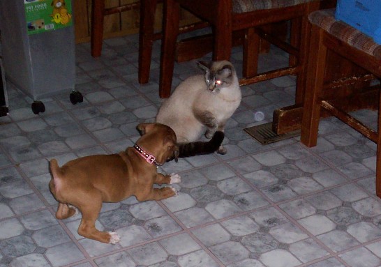 Sophie Meets Chloe