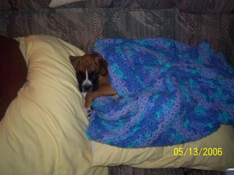 Sophie on her first day home