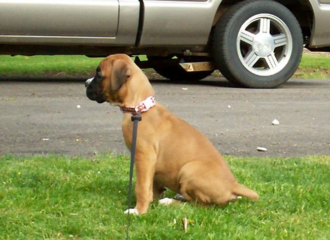 Sophie sitting pretty