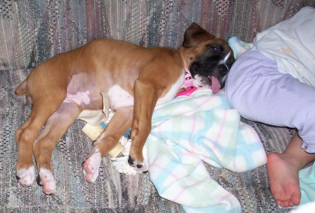 Sophie Sleeping with her tongue out