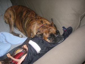 Sophie sleeping