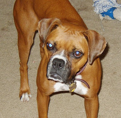 Sophie