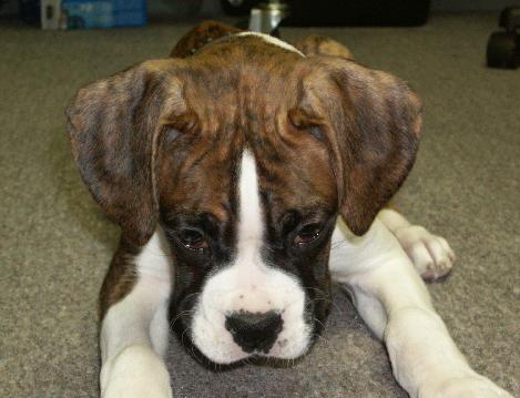 Sorry......I'm all ears.