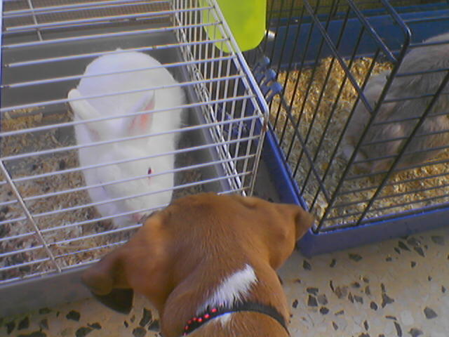 sotiris with baby(but already huge)keeroff