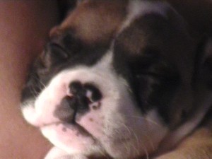 Sound asleep in her Daddy's arms....so sweet!