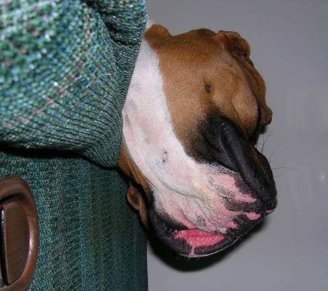 Sound asleep