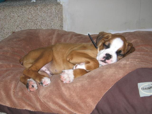 Sound Asleep!