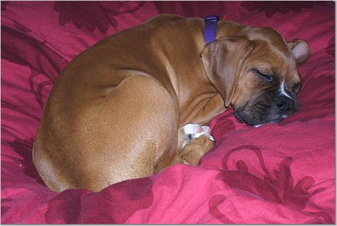 Sound Asleep
