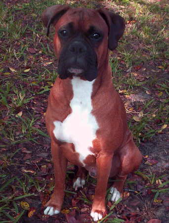 Spanky