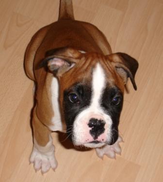 Spanky