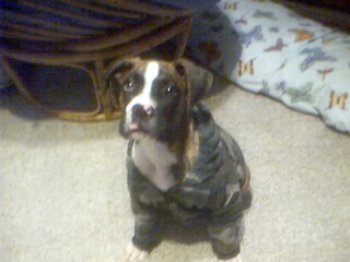 spanx's hoody