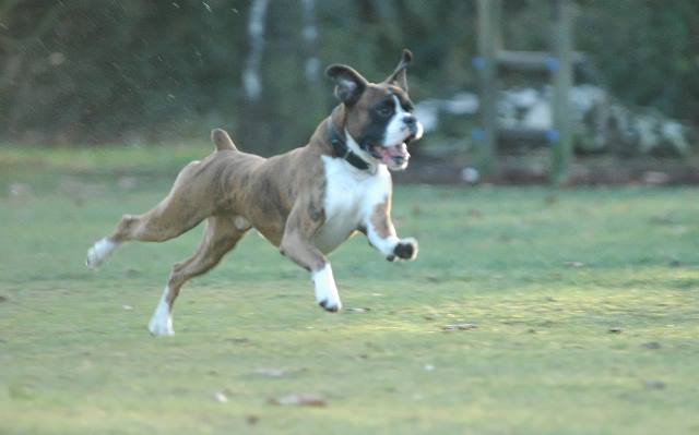 Speed